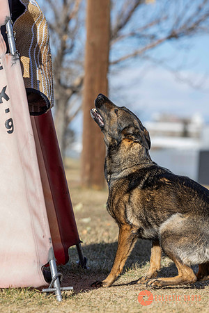 K9Force11.2025-0657