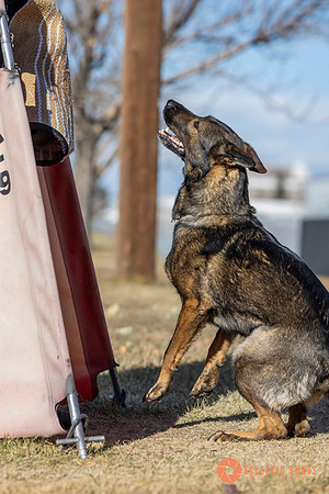 K9Force11.2025-0653