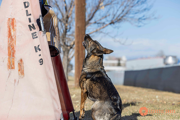 K9Force11.2025-0633