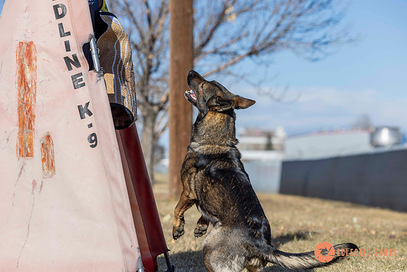 K9Force11.2025-0629