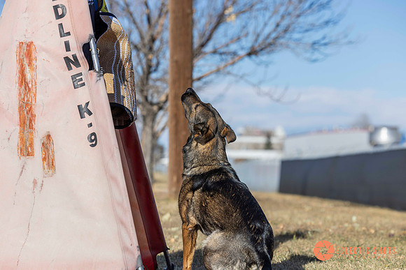 K9Force11.2025-0625