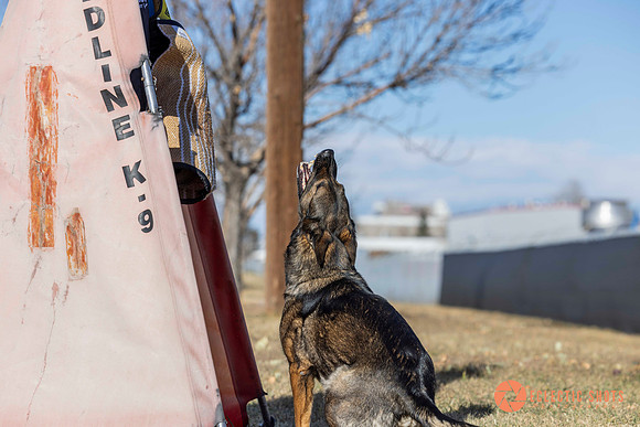 K9Force11.2025-0624