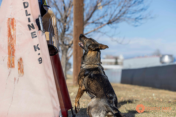K9Force11.2025-0627