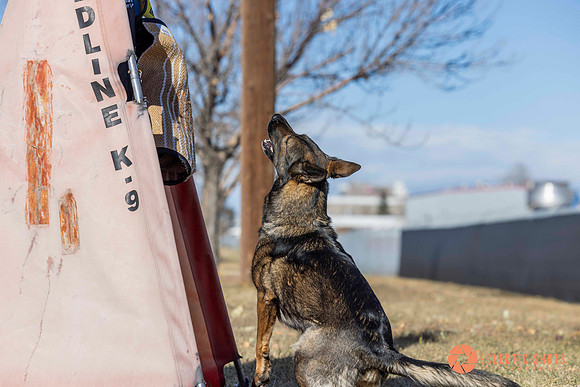 K9Force11.2025-0621