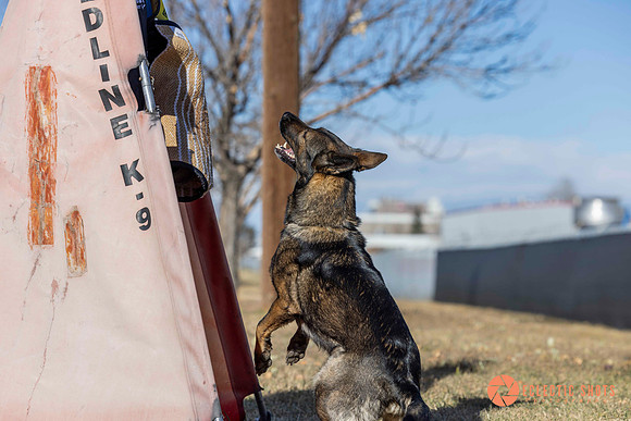 K9Force11.2025-0617