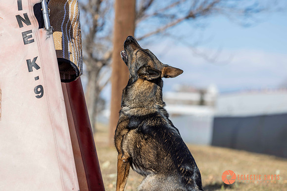 K9Force11.2025-0606