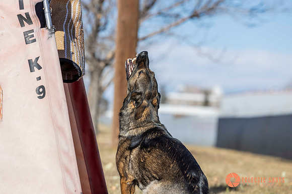 K9Force11.2025-0609