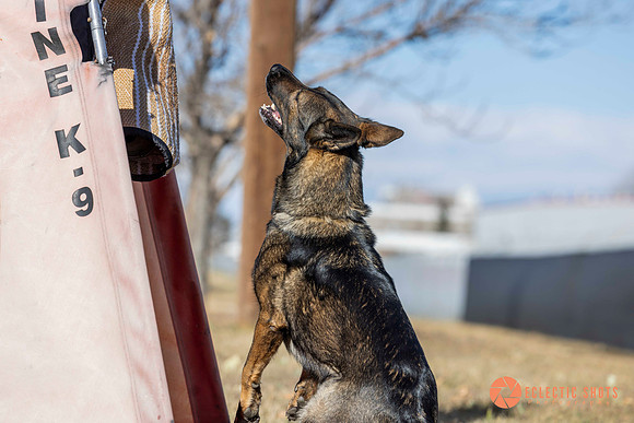 K9Force11.2025-0604