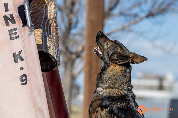 K9Force11.2025-0593