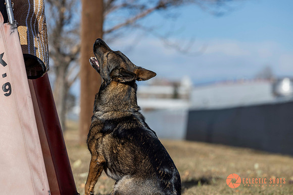 K9Force11.2025-0579