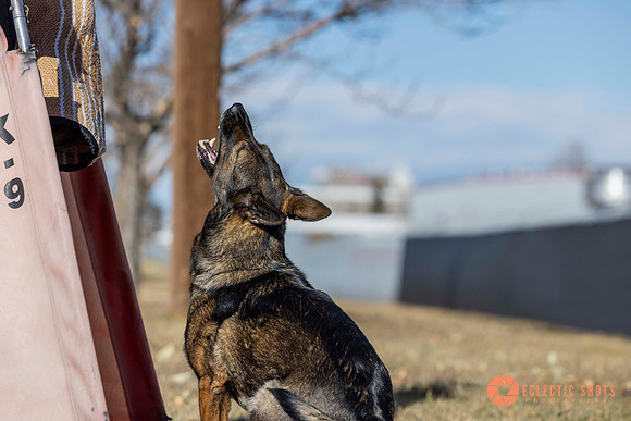 K9Force11.2025-0582