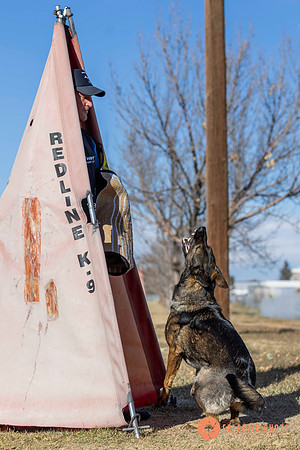 K9Force11.2025-0569