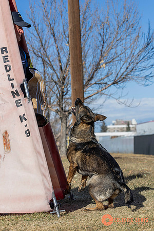 K9Force11.2025-0546