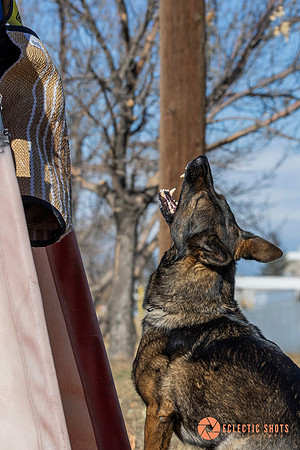 K9Force11.2025-0547