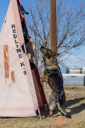 K9Force11.2025-0541
