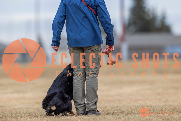 K9Force11.2025-4305