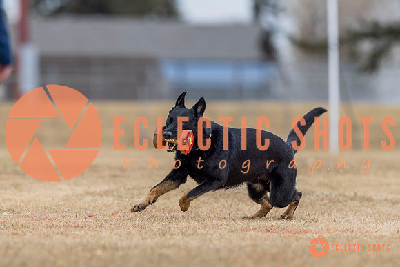 K9Force11.2025-4324