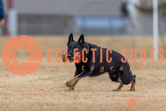 K9Force11.2025-4325