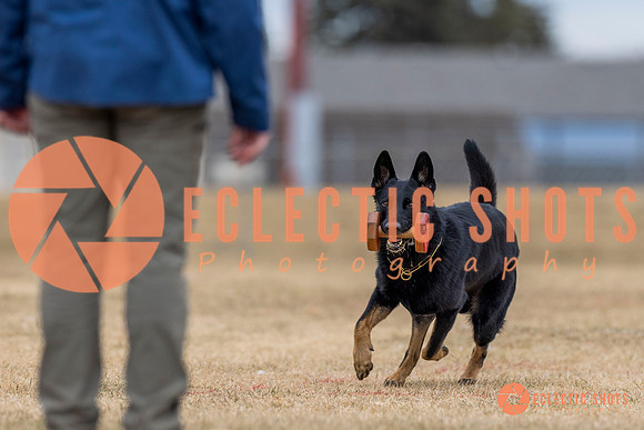K9Force11.2025-4328
