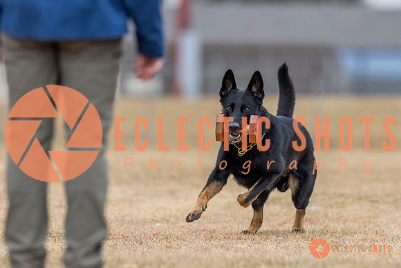 K9Force11.2025-4329