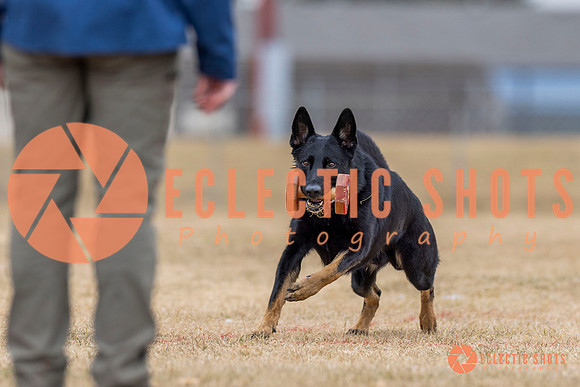 K9Force11.2025-4330