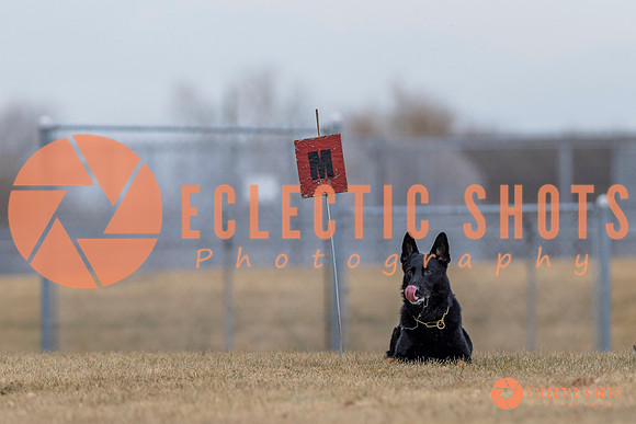 K9Force11.2025-4369