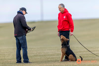 K9Force11.2025-2251