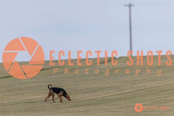 K9Force11.2025-2325
