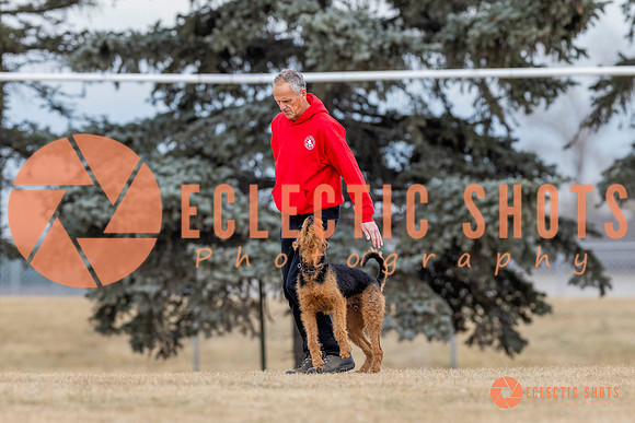 K9Force11.2025-4391