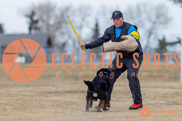 K9Force11.2025-5844