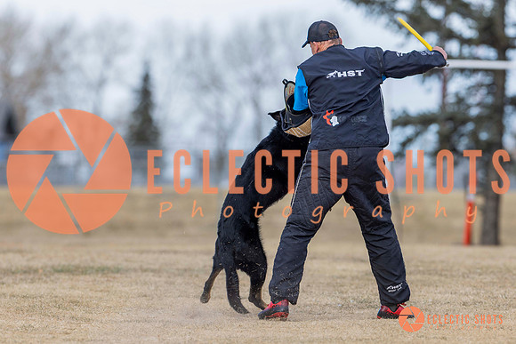 K9Force11.2025-5853