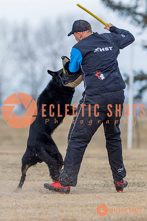 K9Force11.2025-5852