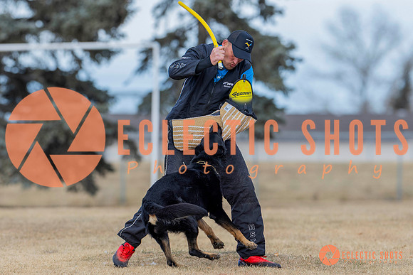 K9Force11.2025-5905