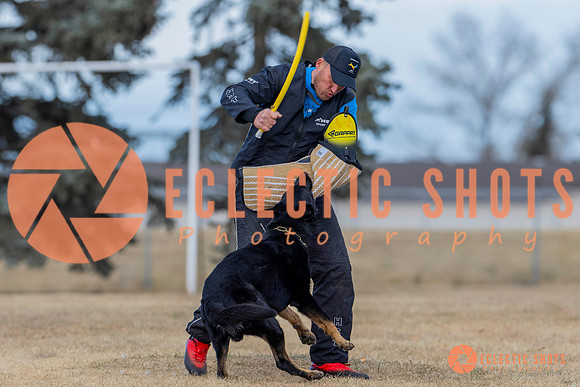 K9Force11.2025-5906