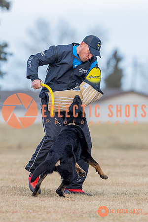K9Force11.2025-5916