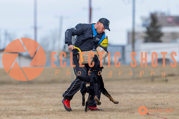 K9Force11.2025-5933