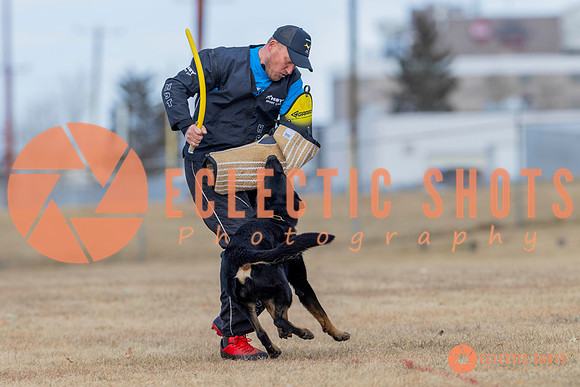 K9Force11.2025-5935