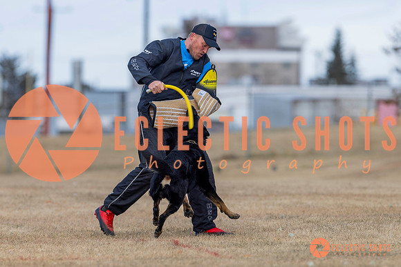 K9Force11.2025-5941