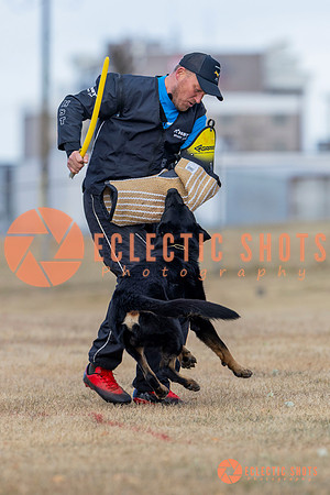 K9Force11.2025-5943
