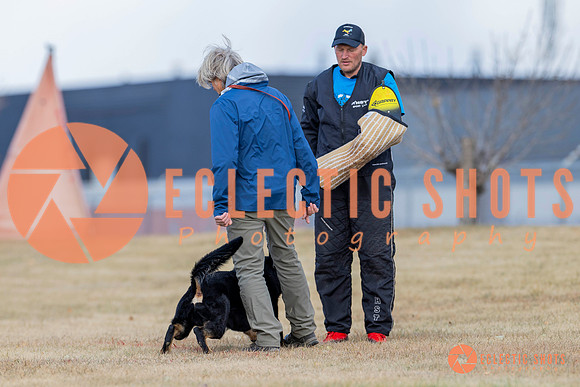 K9Force11.2025-6009
