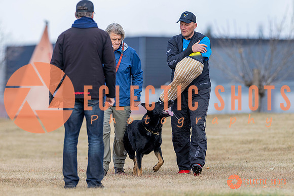 K9Force11.2025-6031