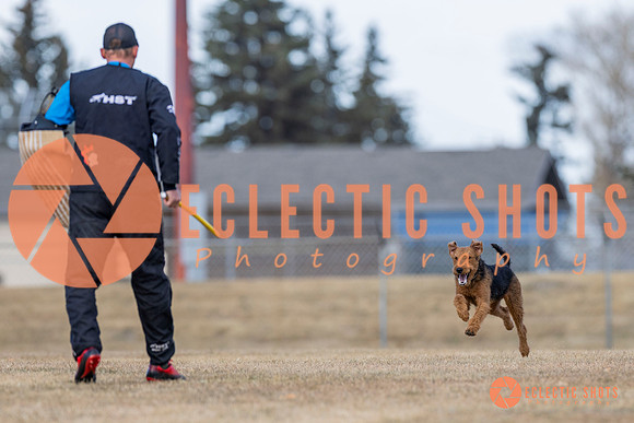 K9Force11.2025-6158