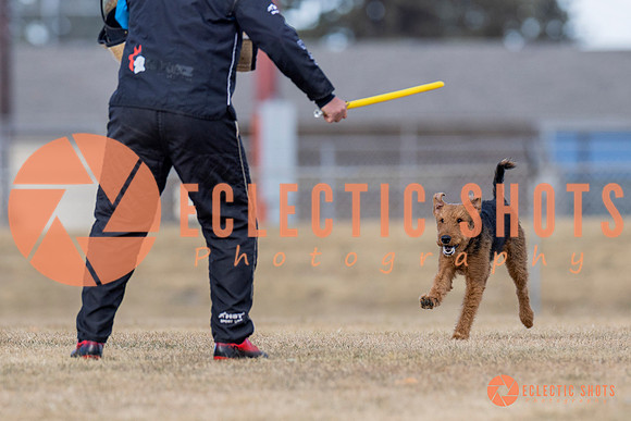 K9Force11.2025-6165