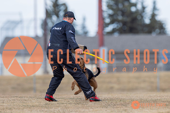 K9Force11.2025-6176