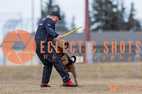K9Force11.2025-6178
