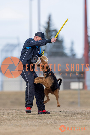 K9Force11.2025-6181