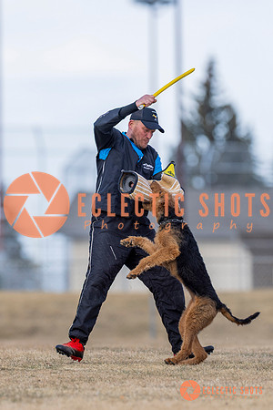 K9Force11.2025-6183
