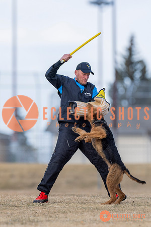K9Force11.2025-6184