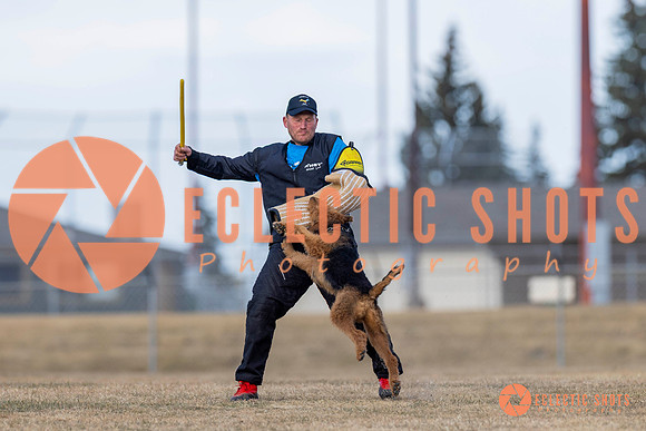 K9Force11.2025-6186