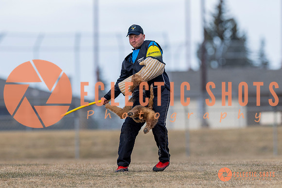 K9Force11.2025-6188